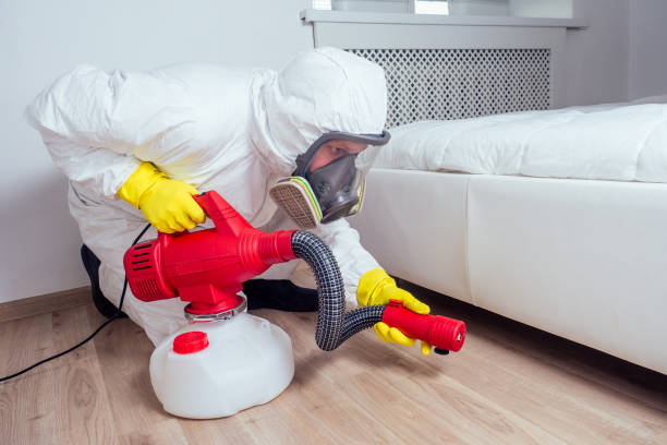 Professional Pest Control in Williamstown, WV