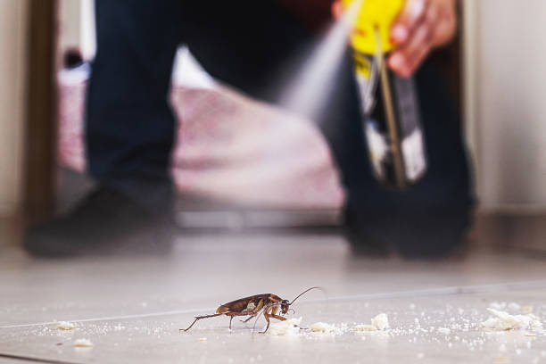 Best Insect Control  in Williamstown, WV