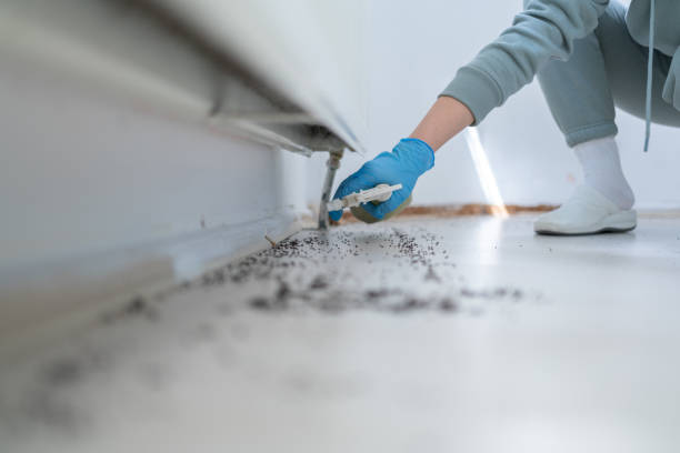 Best Wildlife Control Services  in Williamstown, WV